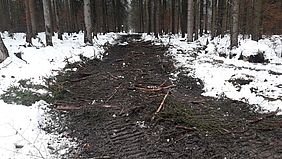 Walderschließung, Rückegasse, Bayerische Staatsforsten