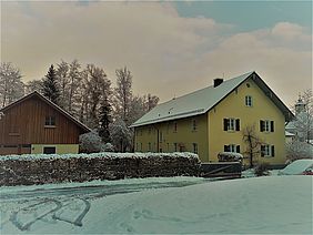 Bayerisch Staatsforsten, Forstbetrieb Ottobeuren, Weihnachtsbaumverkauf