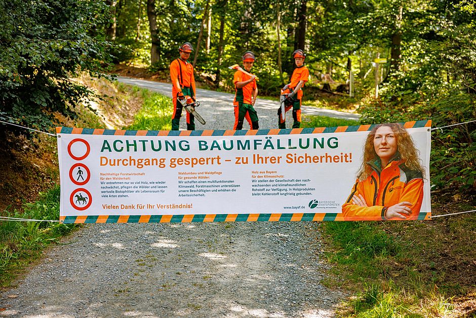 Bessere Information für Waldbesucher  - Bayerische Staatsforsten
