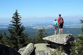 Titelbild Tagungsflyer Berg-Wald-Mensch