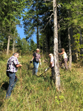 Bayerische Staatsforsten Staatswald Wald Pflanzaktion Klimaschutz