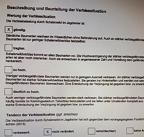 Vegetationsgutachten Verbiss Tanne Statistik