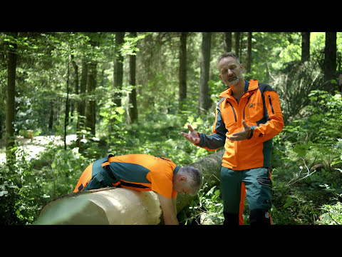 Entrindung mit dem Loheisen (Schimper) | Tutorial der Bayerischen Staatsforsten 🌲