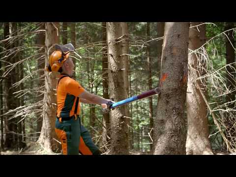 Baum fällen - Abdrehen eines seitlich hängengebliebenen Baumes