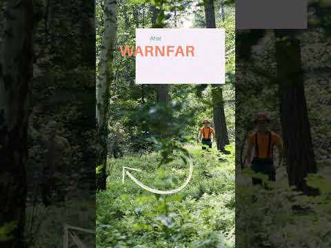 Wie viele Menschen siehst du hier? 👀