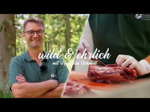 Der Wald ruft: Warum Förster auch Jäger sind I WILD & EHRLICH mit Hubertus Schmidt