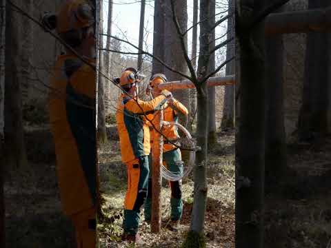 Wildschutzzaun selbst bauen – easy! 🛠🚪