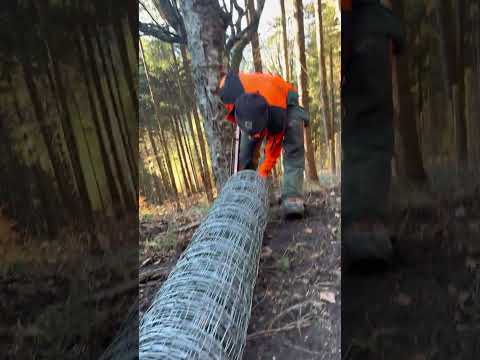 🔥 Forstazubis bauen ein Wintergatter! 💪🦌 #forstwirtschaft #azubis