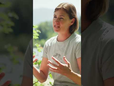 Regional kochen mit Vroni Lutz | WILD & EHRLICH