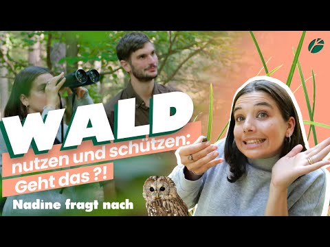Wald nutzen und schützen: Geht das?! Nadine Hadad fragt nach I BaySF Web-Reportage