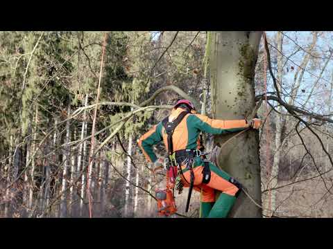Verschiedene Anwendungsbereiche der Akkutechnologie - Tutorial der Bayerischen Staatsforsten