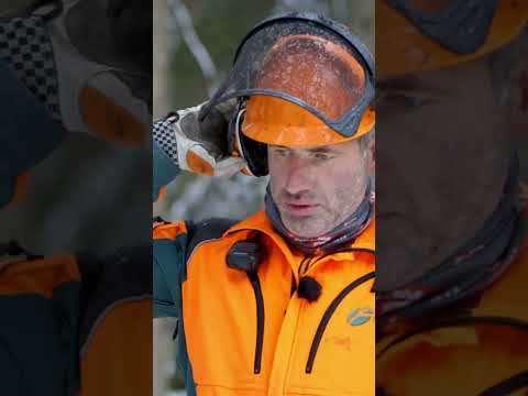 Holzernte in Steillagen | Techniken im Vergleich | Waldwissen