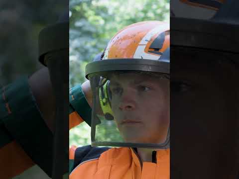 Gut geschützt im Wald arbeiten: Sicherheit in der #Forstwirtschaft  💪 Persönliche Schutzausrüstung 🦺