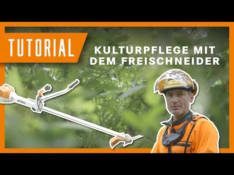 Tobi zeigt: Kulturpflege mit dem Freischneider I #tutorial #waldarbeit #forstwirtschaft