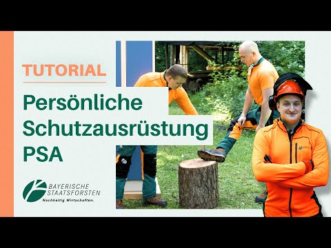 Schnittschutz, Helm & Co.: PSA in der Waldarbeit erklärt ✅