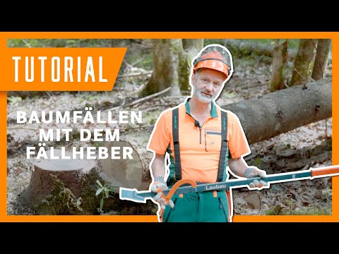 Schwachholz fällen mit dem Fällheber I #Holzernte Tutorial der Bayerischen Staatsforsten