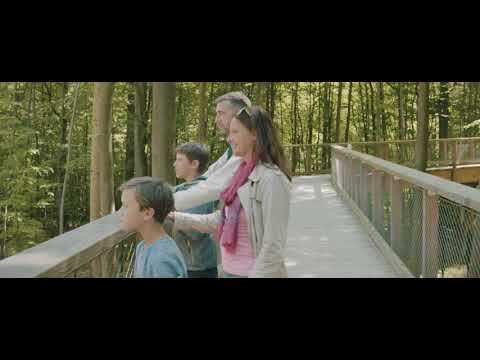 Freizeit im Wald: Der Baumwipfelpfad im Steigerwald! #Ausflug #Wandern #Familie