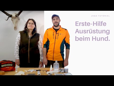 Erste-Hilfe Ausrüstung beim Hund | Jagdwissen der Bayerischen Staatsforsten
