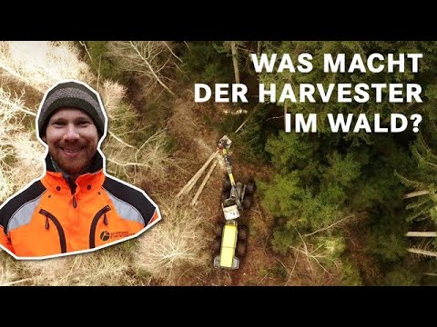 Was macht der Harvester im Wald? Holzernte mit Mensch und Maschine I BaySF Web-Reportage