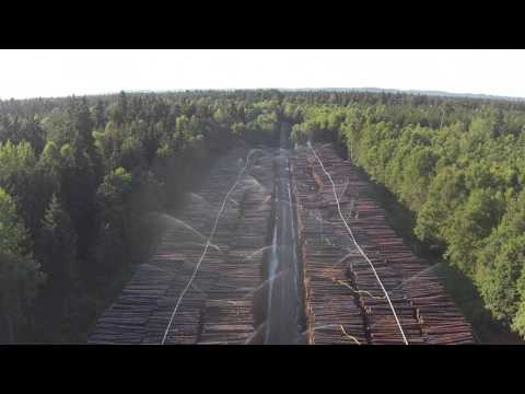 Nasslager der Bayerischen Staatsforsten nach Sturm Niklas - Aufnahme mit Drohne