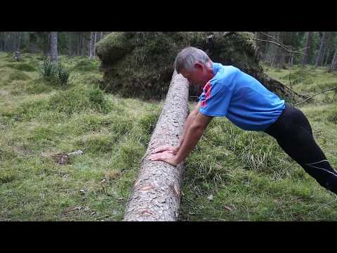 Sport im Freien - Abwechslungsreiches Training im Wald