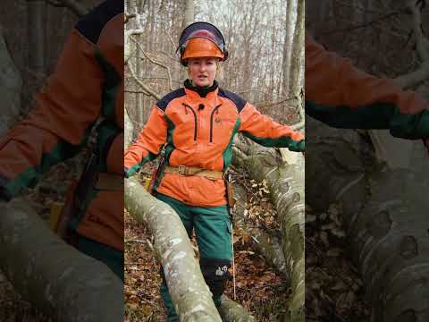 Eine Laubholzkrone kann harmlos aussehen – und trotzdem voller Spannung stecken. 🌳⚠️