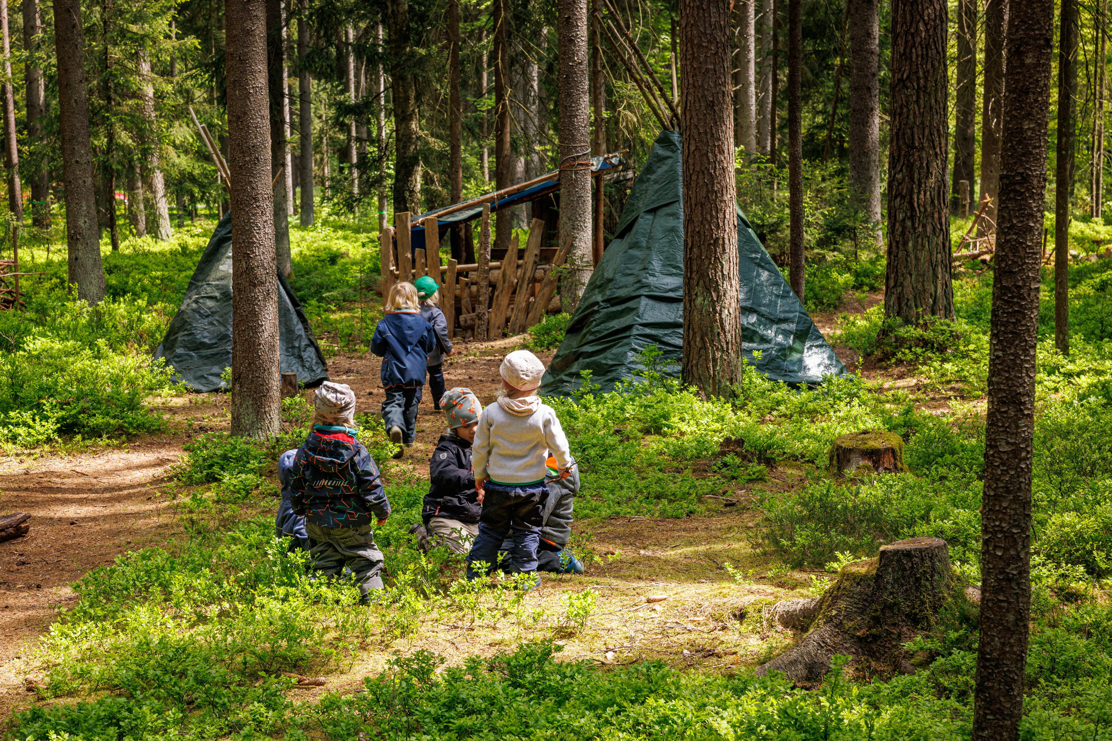 Goldbacher Waldkindergarten