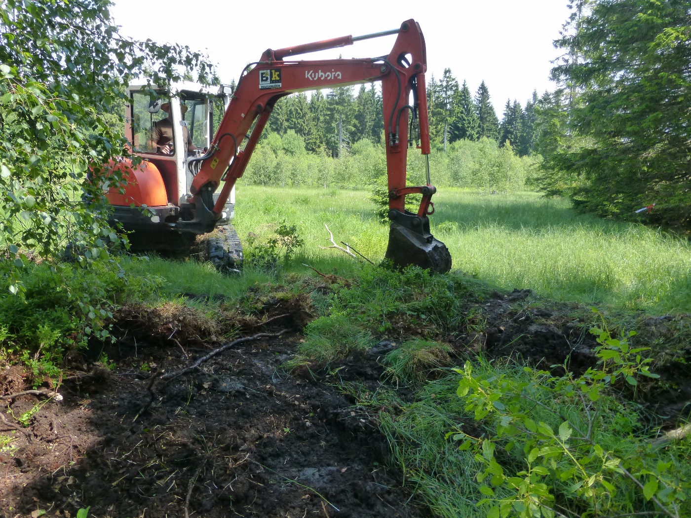 Bagger im Moor beim Renaturieren