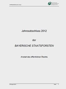 Jahresabschluss 2012