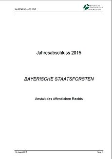 Jahresabschluss 2015