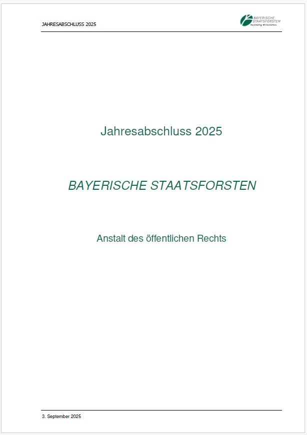 Titelseite des Jahresabschlusses 2025