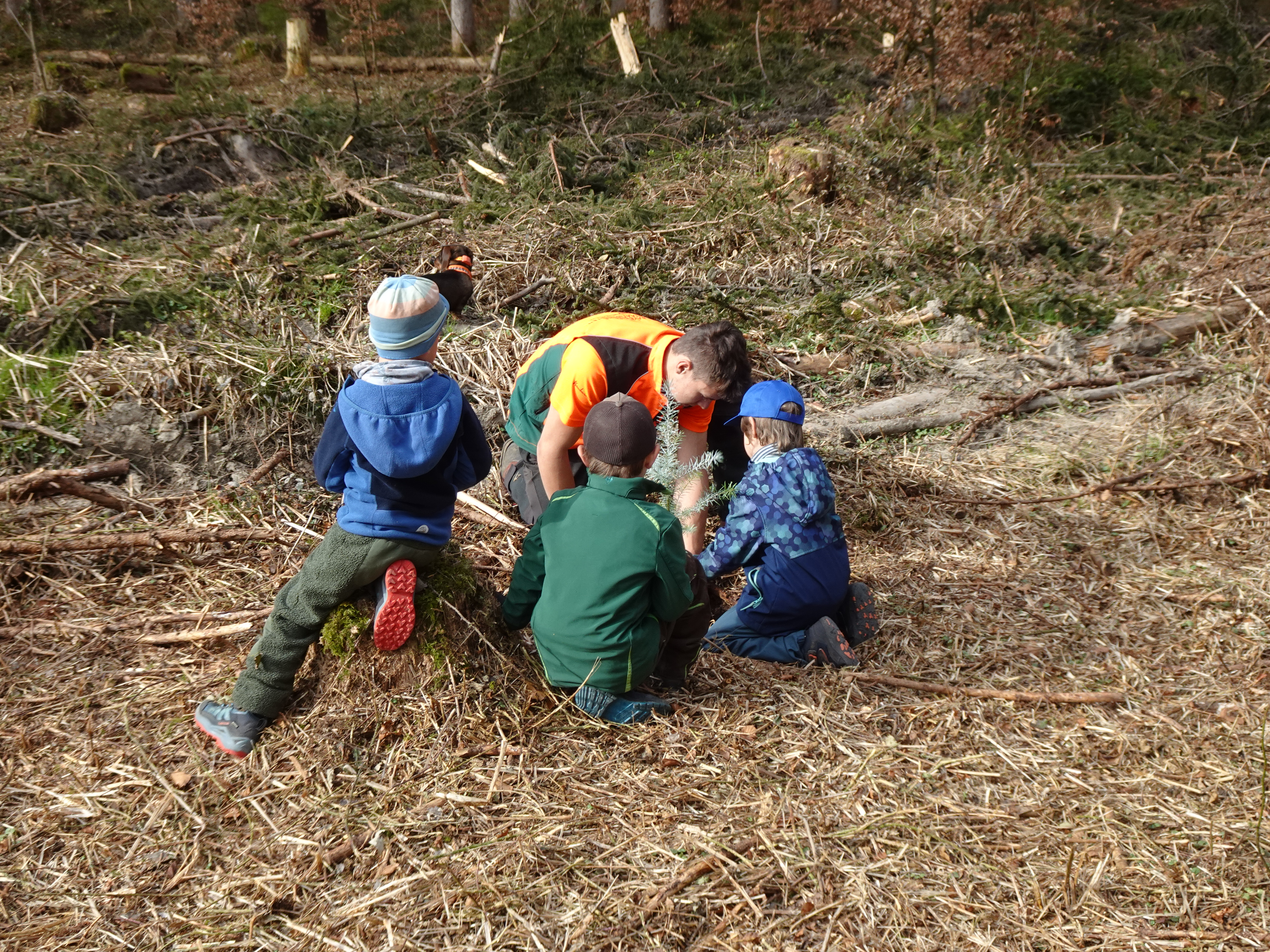 Kinder beim Pflanzen
