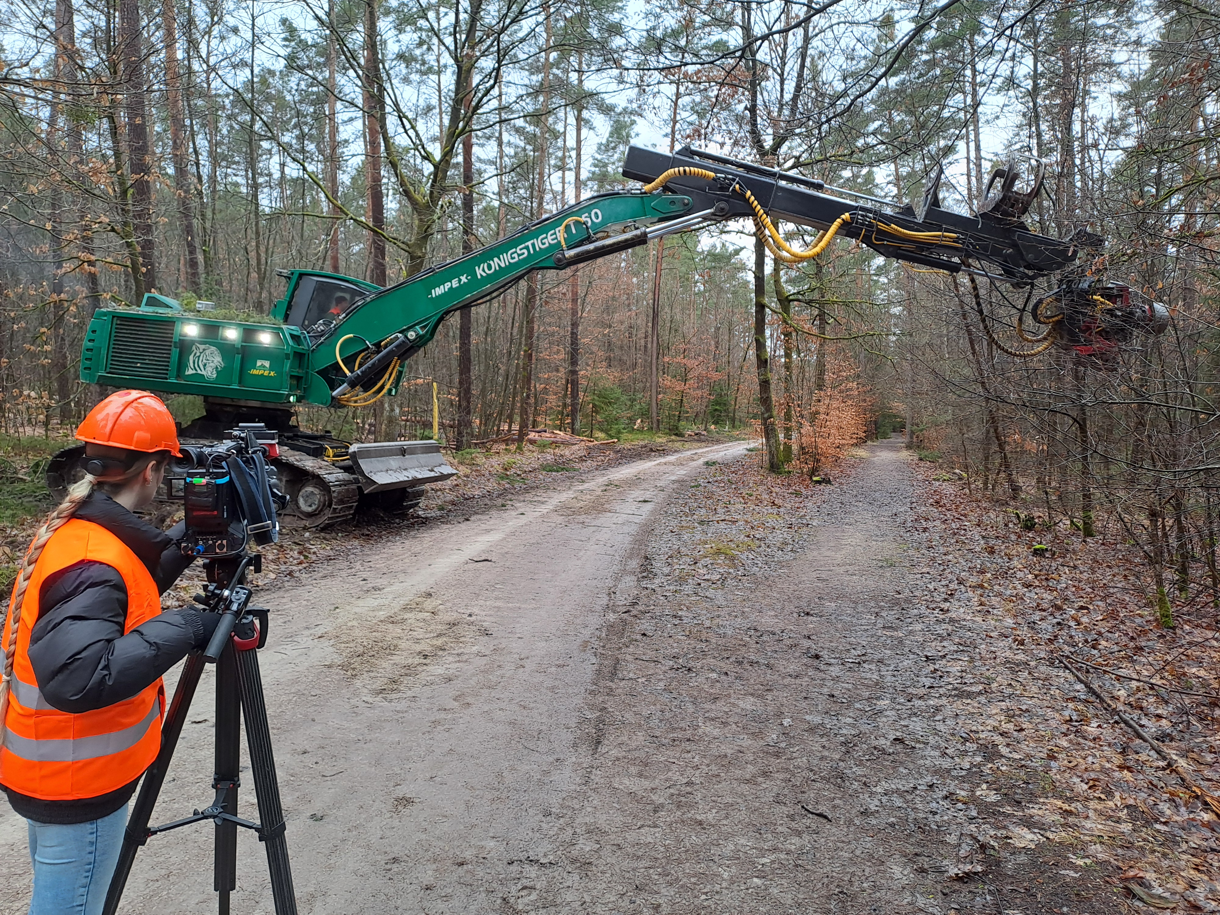 Stehendentnahmeharvester im Einsatz