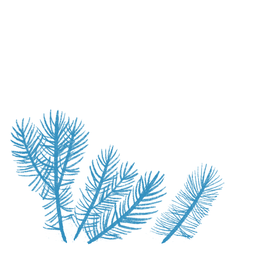 Tannenzweige in blau