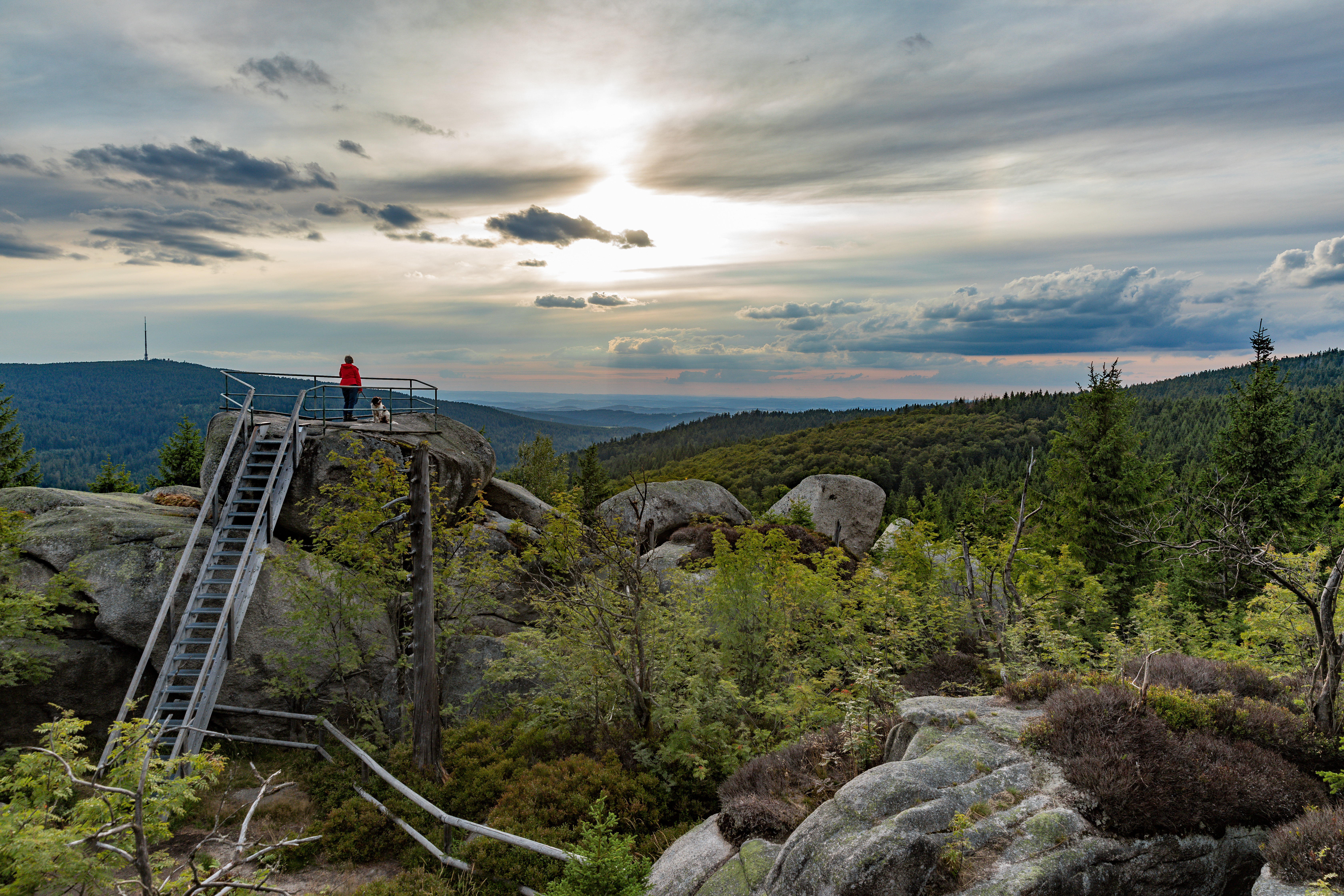 Aussichtspunkt auf einem Berg im Staatswald
