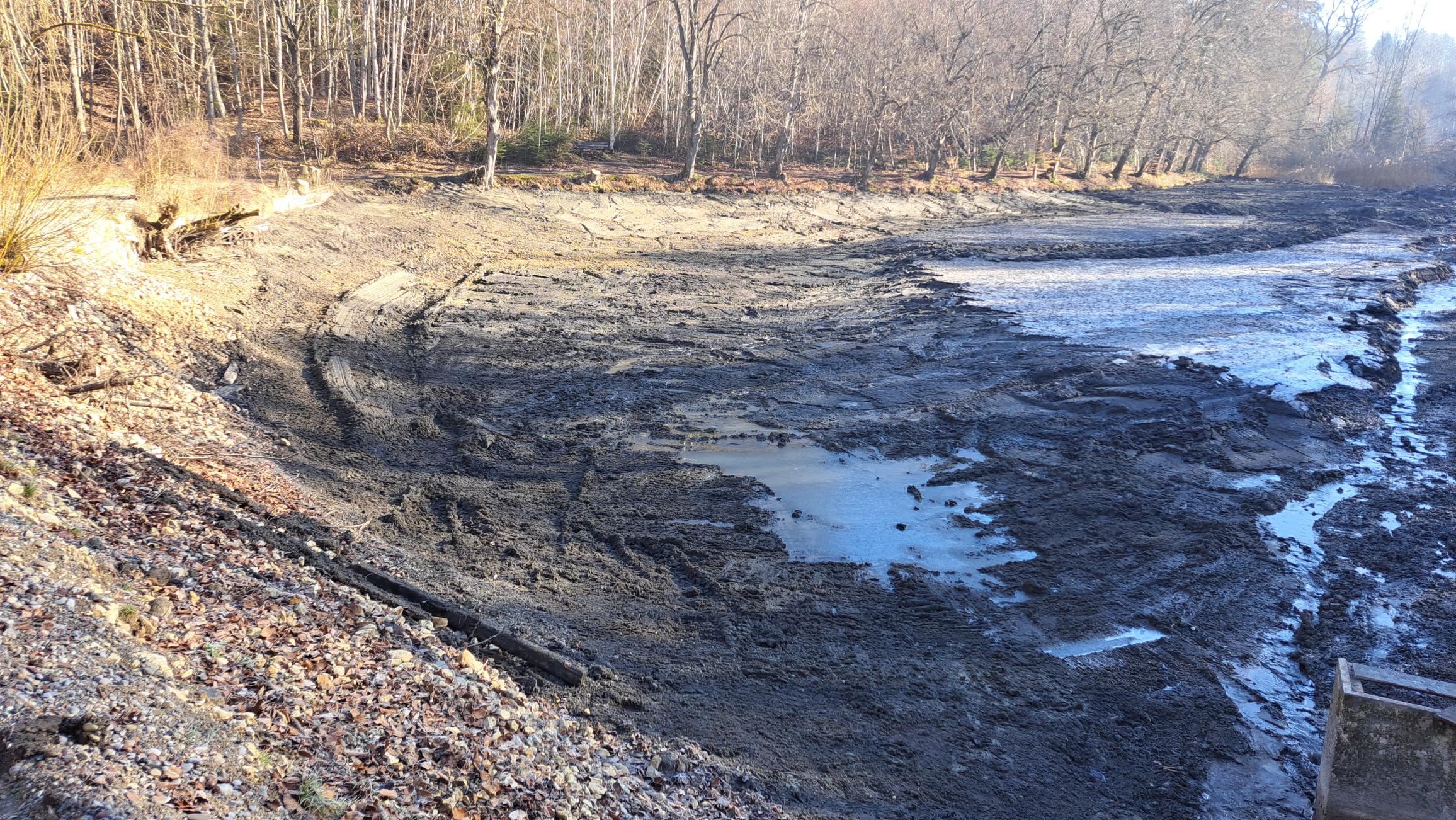 Abgelassener Weiher im Winter
