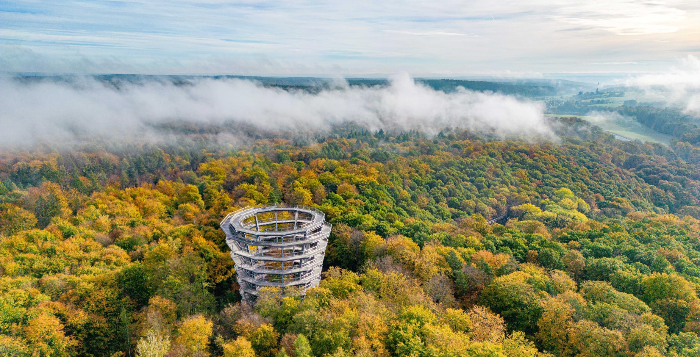 10 Jahre Baumwipfelpfad Steigerwald