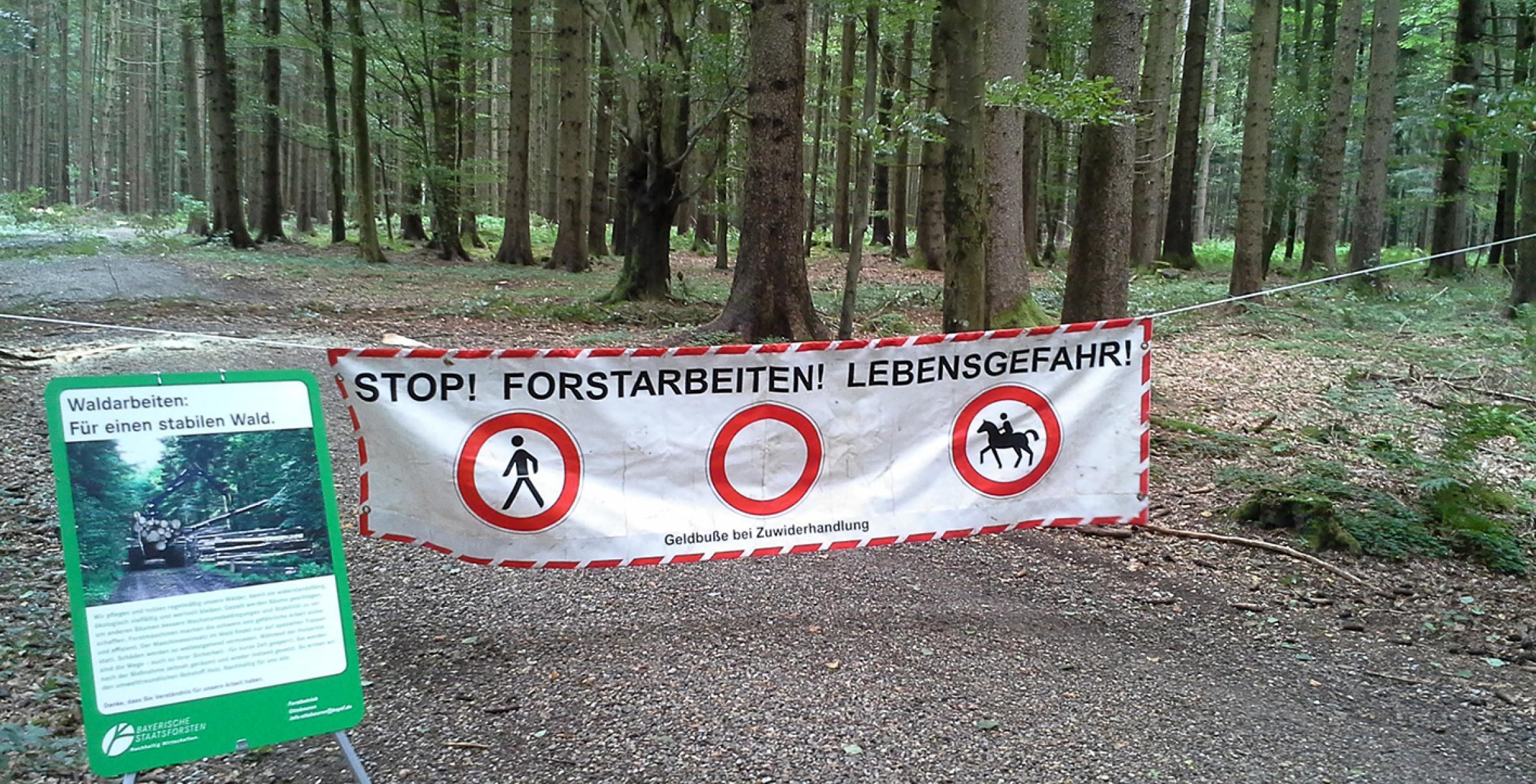 Absperrung im Wald wegen Waldarbeiten