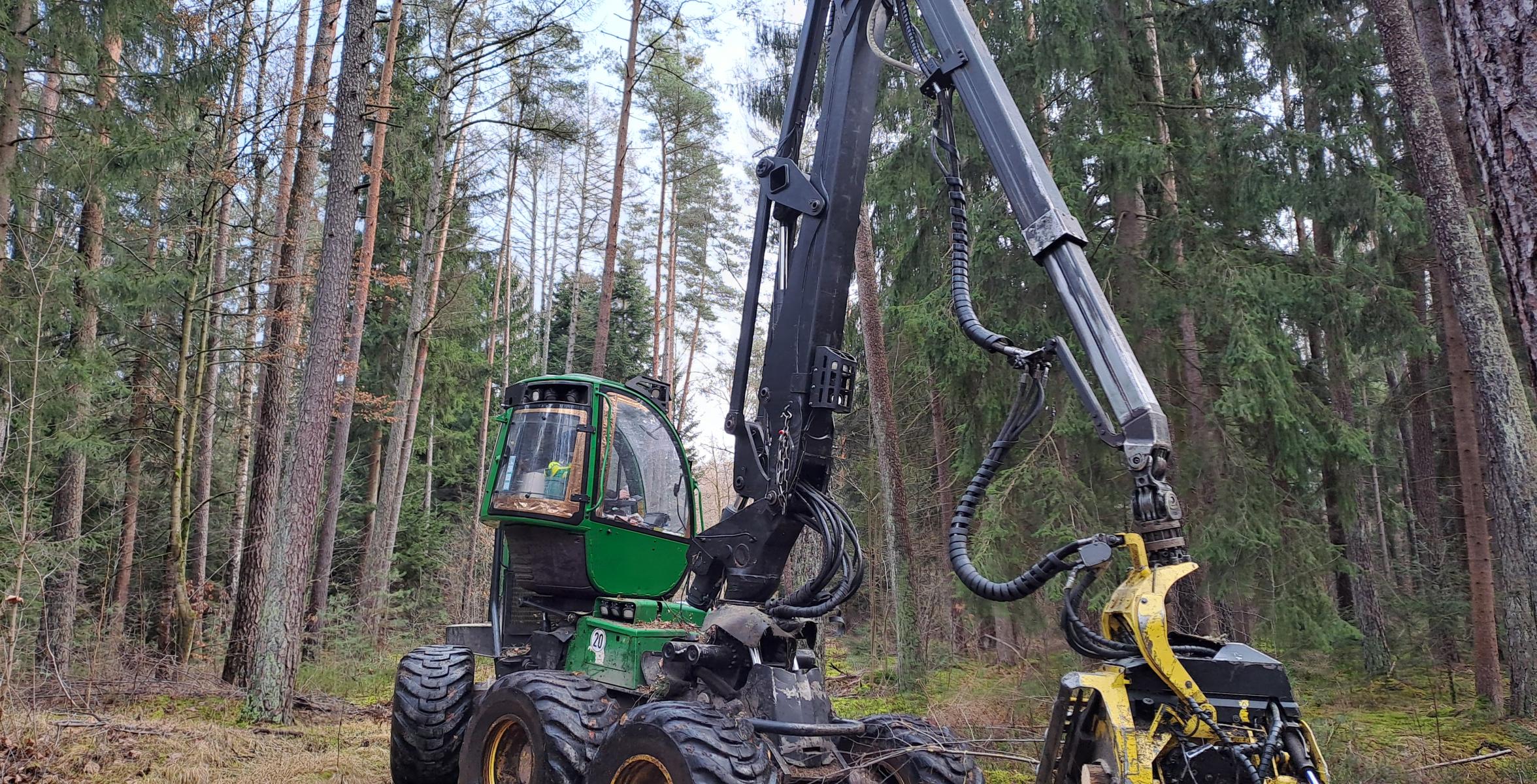 Radharvester im Kiefernbestand