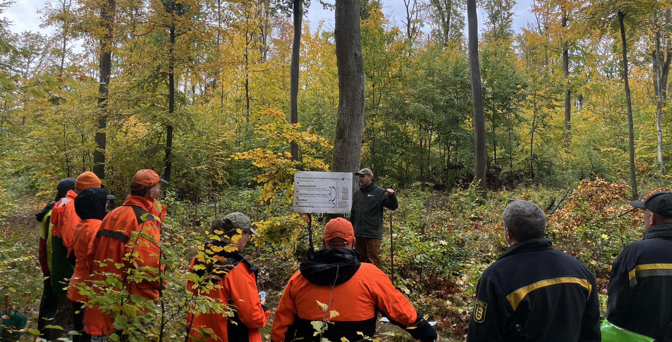 Bundestreffen der Waldbautrainer