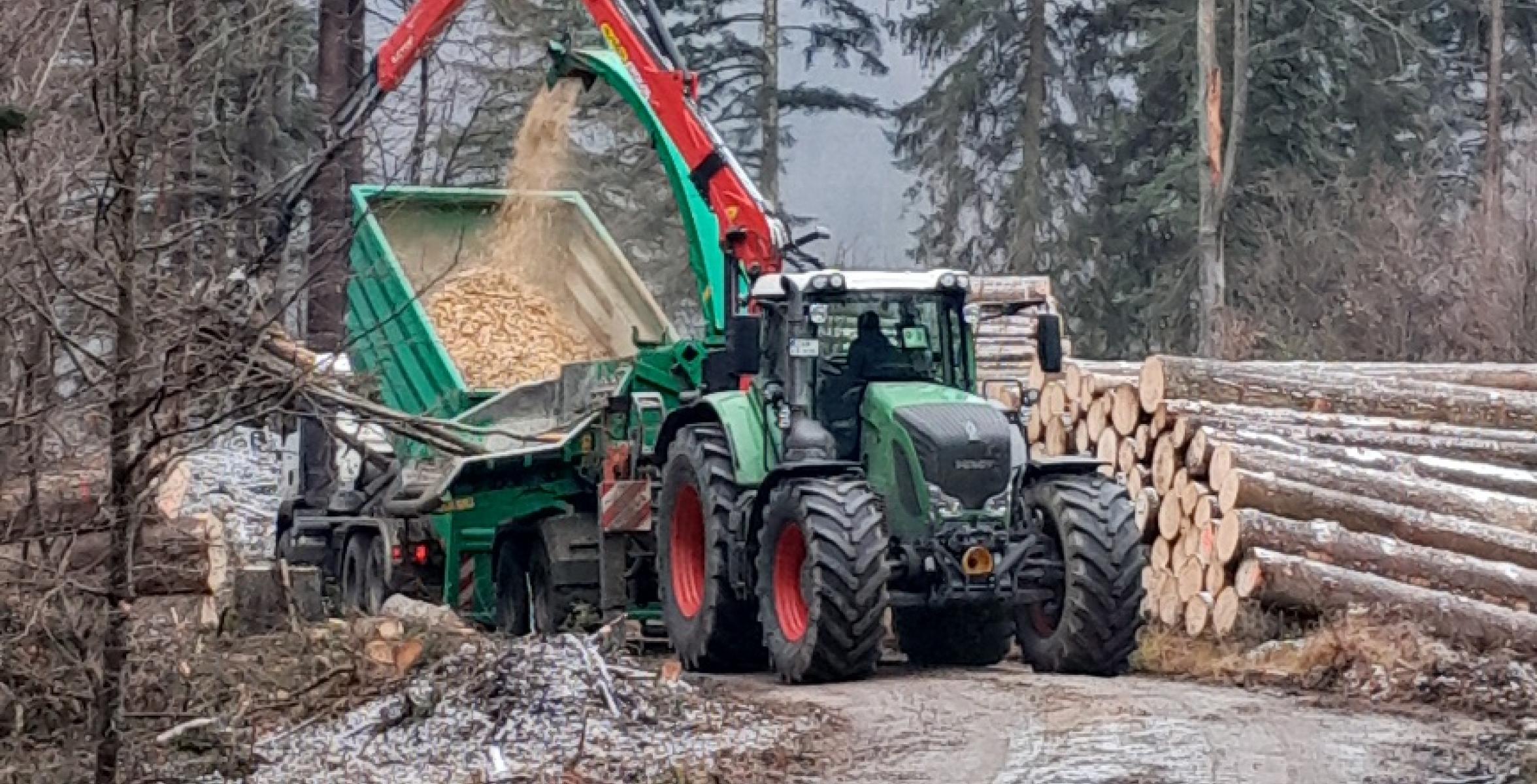 Produktion von Hackschnitzeln im Wald