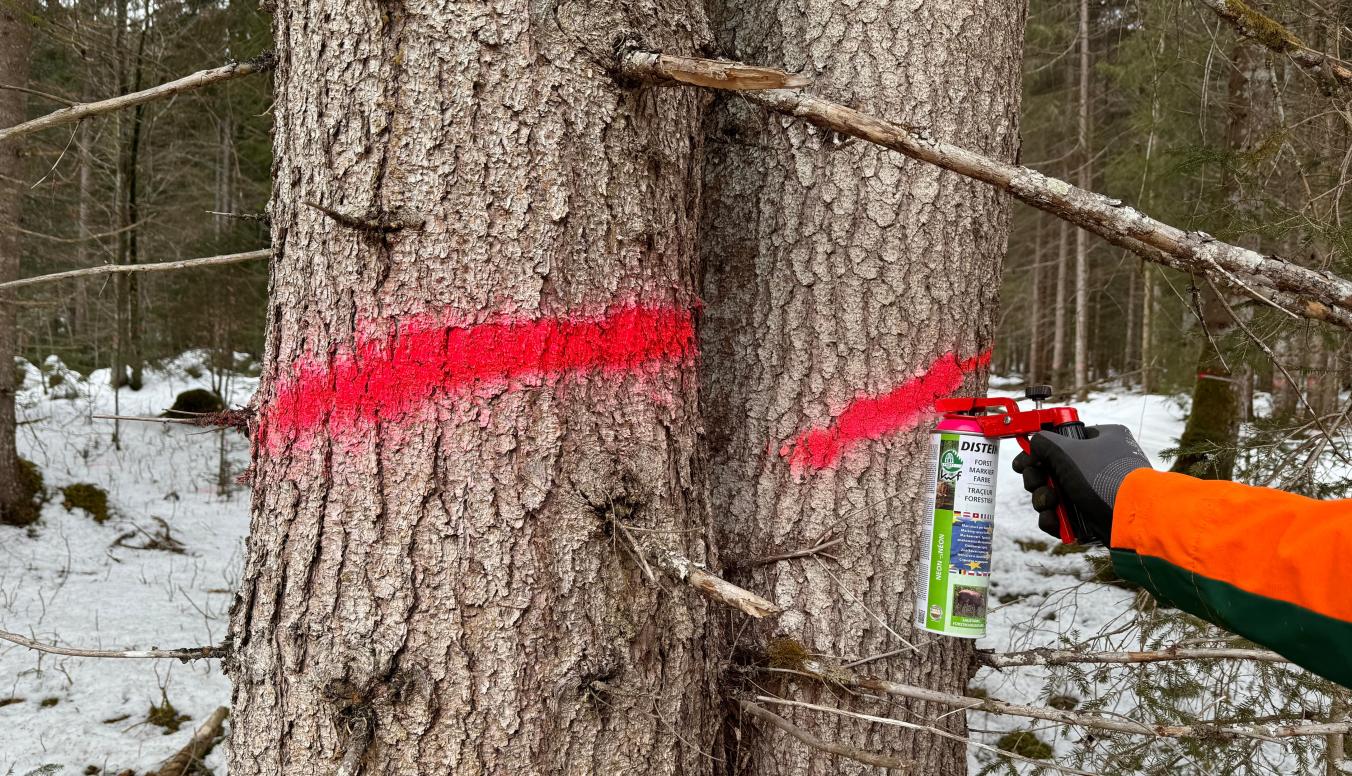 roter - Strich- Markierung- Entnahme