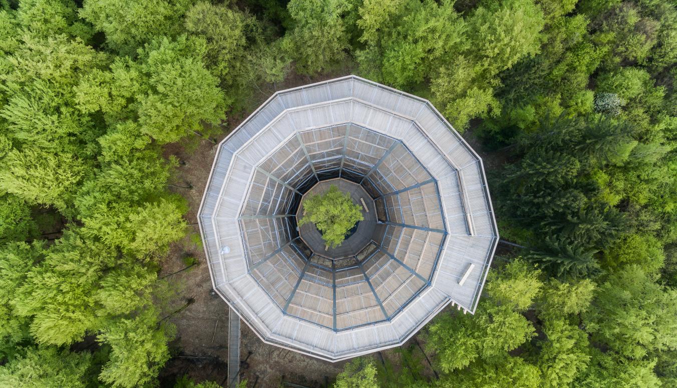 Baumwipfelpfad Steigerwald