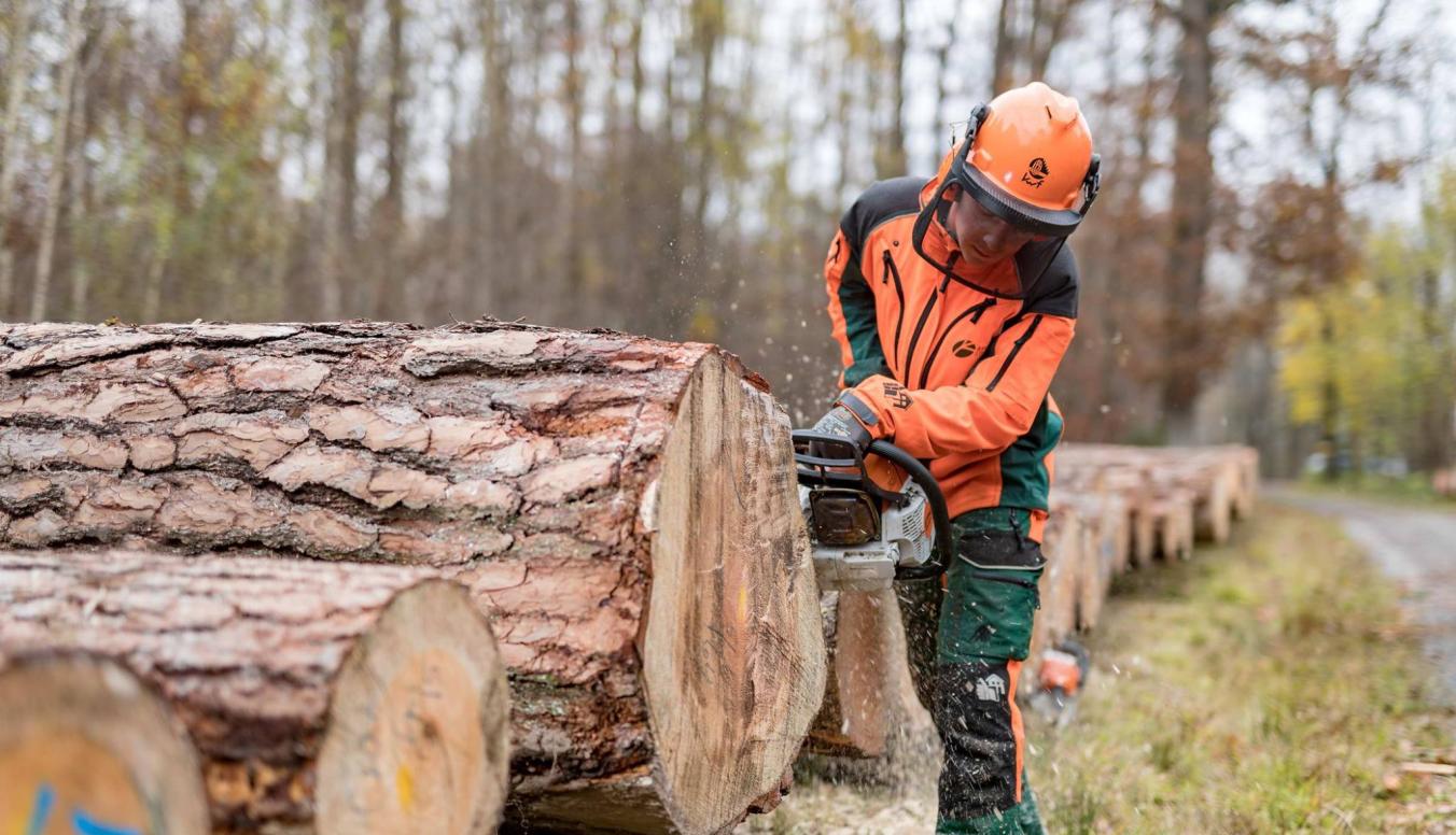 Ein Forstwirt bei der Submission