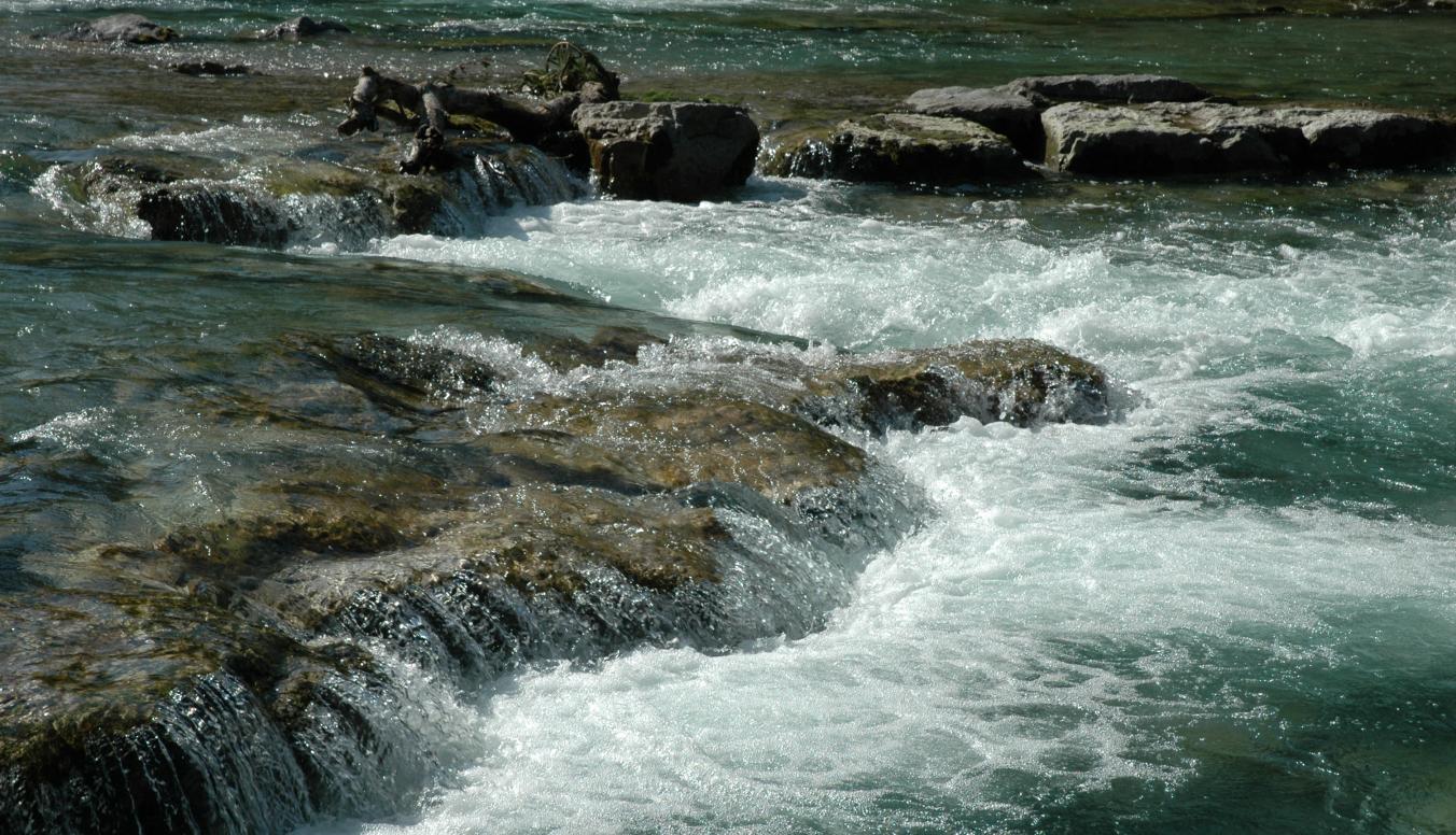 Wasser oder Flusslauf im Bayerischen Staatswald