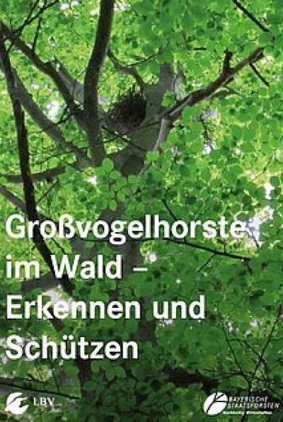 Großvogelhorste im Wald