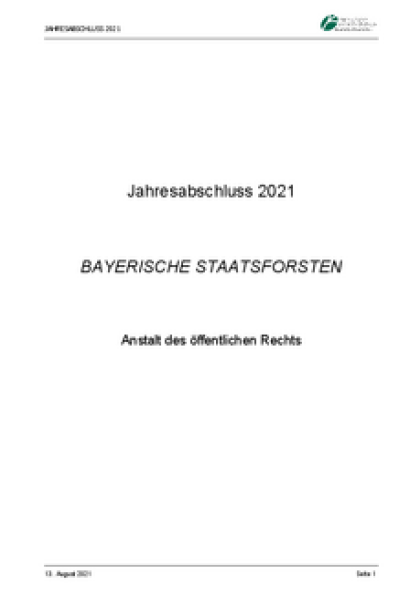 Jahresabschluss 2021