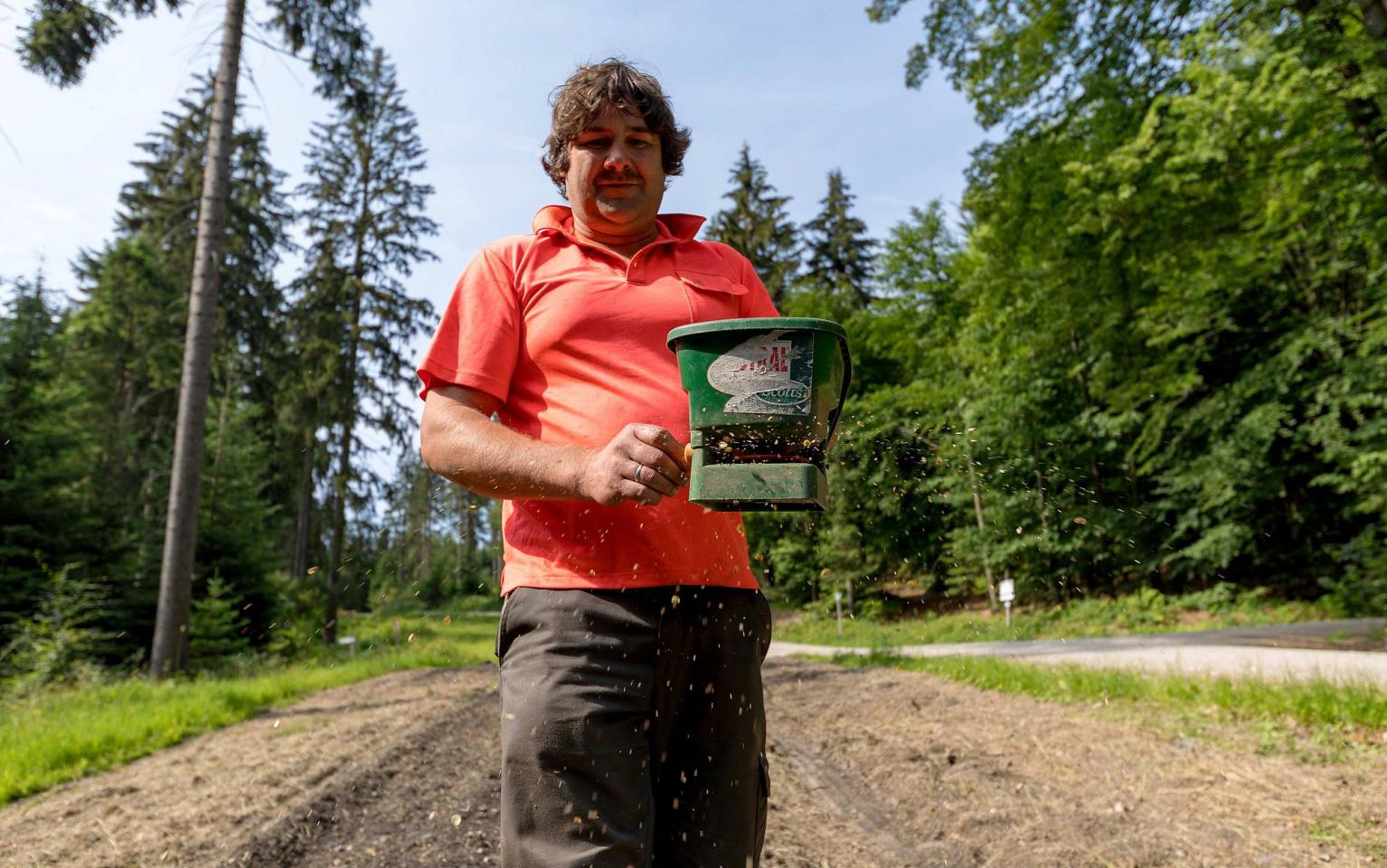 Die Blumensamen werden ins Feld gestreut