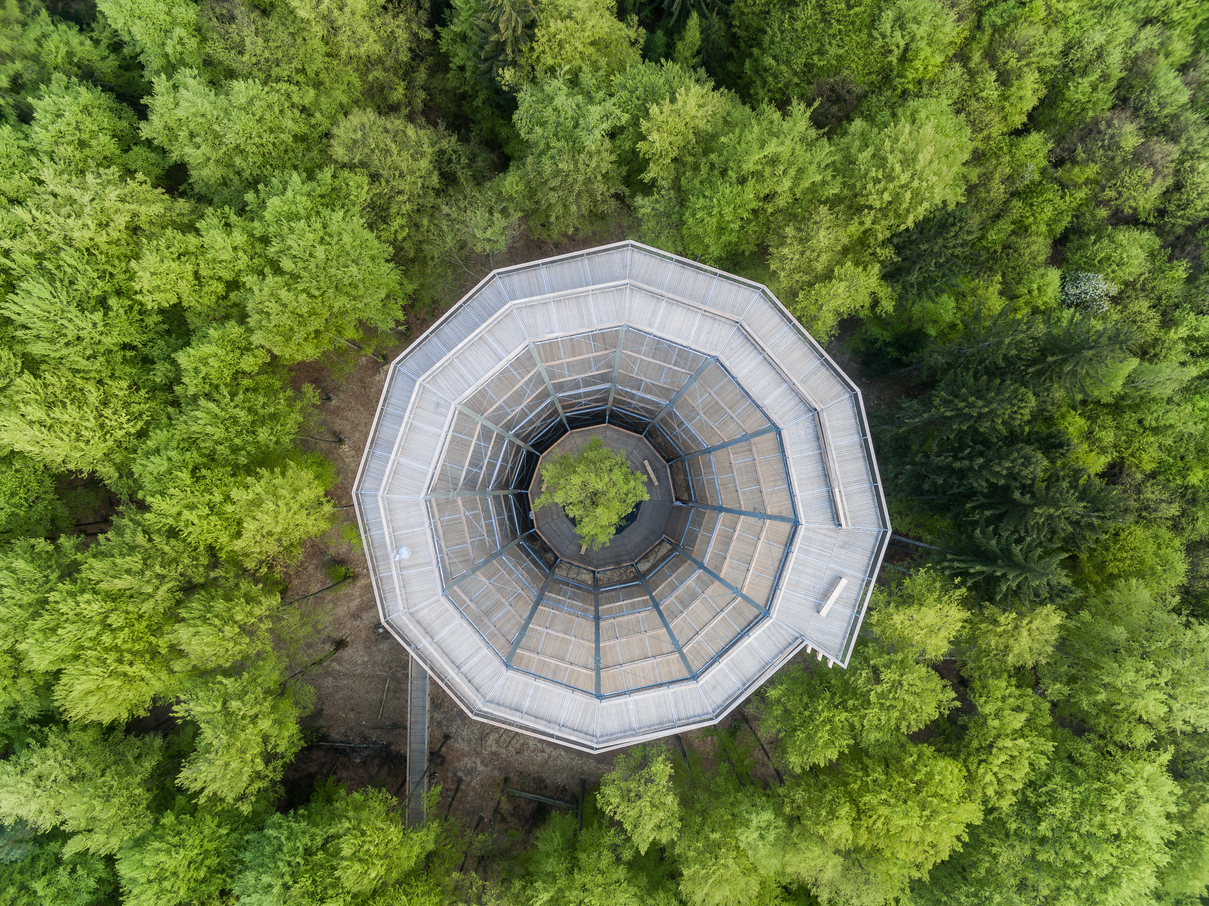 Baumwipfelpfad Steigerwald