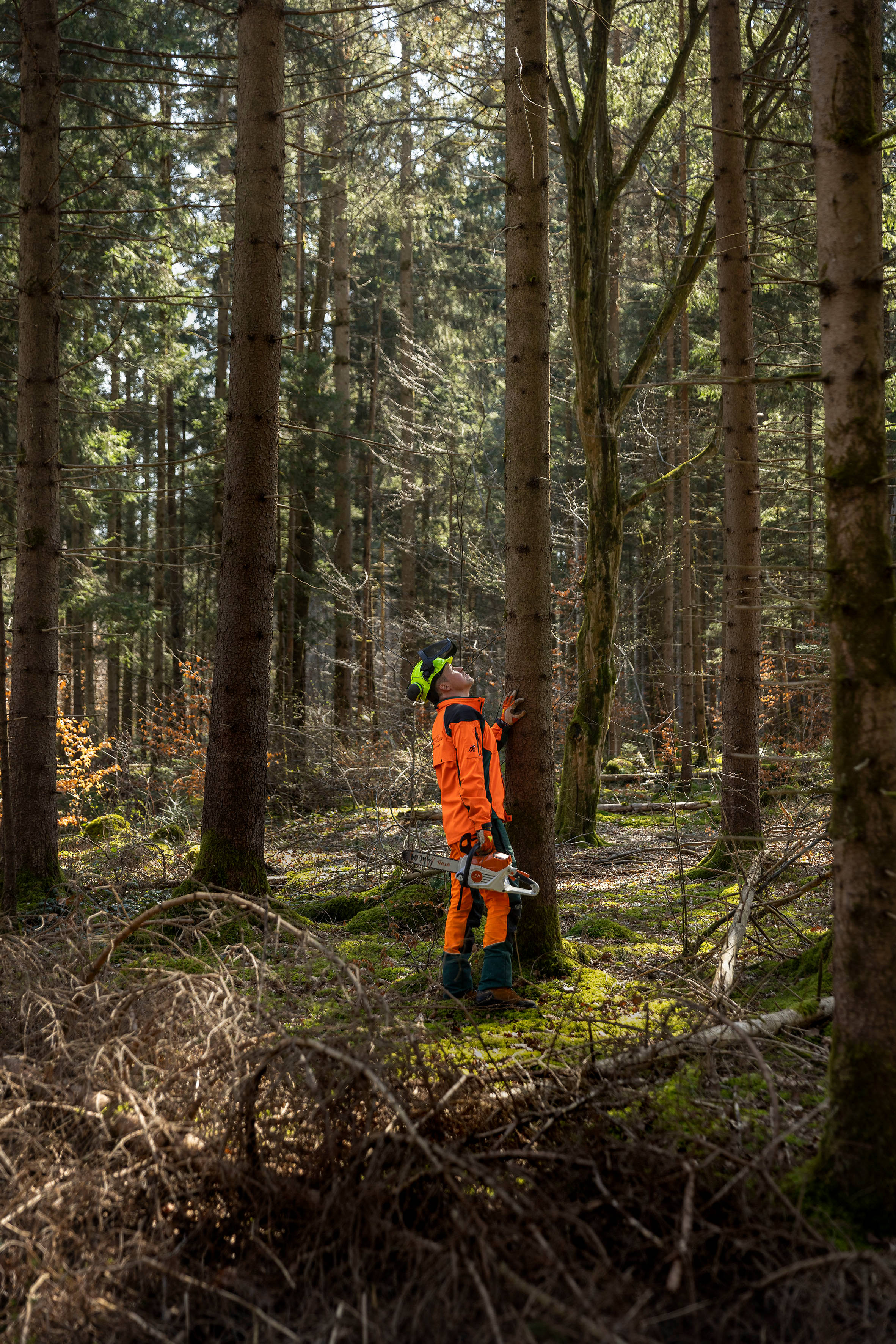 Forstwirt mit Kettensäge vor Baum